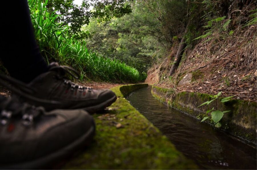 Madeira Island: Caldeirão Verde Levada Walk - Laurissilva and levadas: why this walk feels different