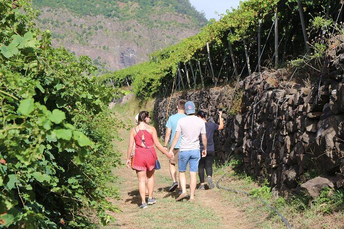 Madeira Island Private Wine Full-day Tour in all terrain vehicle - São Vicente: cliffs, green terraces, and that Atlantic edge