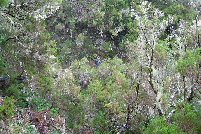 Madeira Levada Walk - Rabacal Lakes and Fountains - Getting to Rabacal from Funchal: the Morning Plan