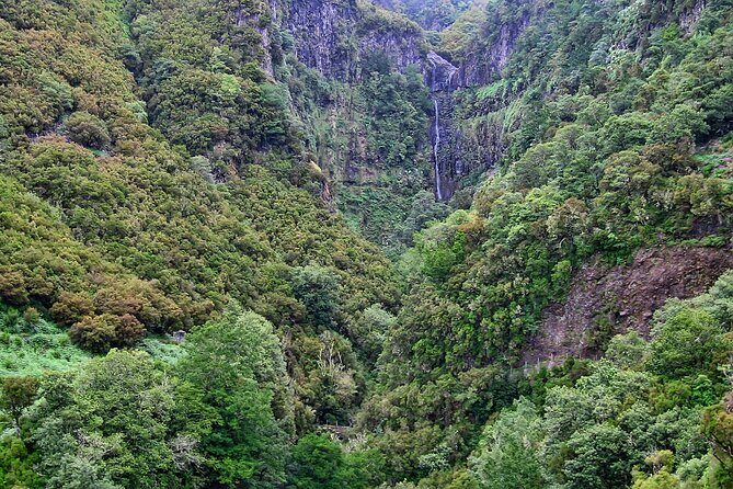 Madeira Levada Walk - Rabacal Lakes and Fountains - Laurisilva Forest Walking: the Part You’ll Remember Past the Photos