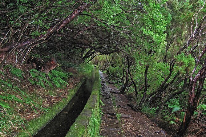 Madeira Levada Walk - Rabacal Lakes and Fountains - Toilets, Food, and the Realities Nobody Puts on a Brochure