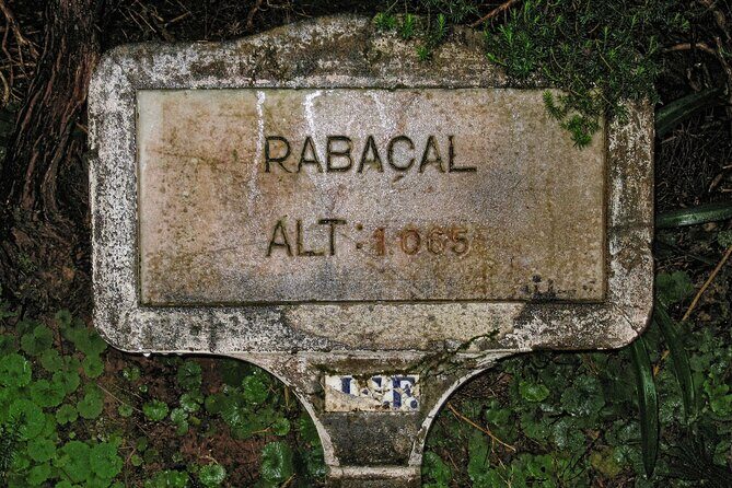 Madeira Levada Walk - Rabacal Lakes and Fountains - Crowds and Over-Tourism: How to Enjoy This Without Getting Irritated