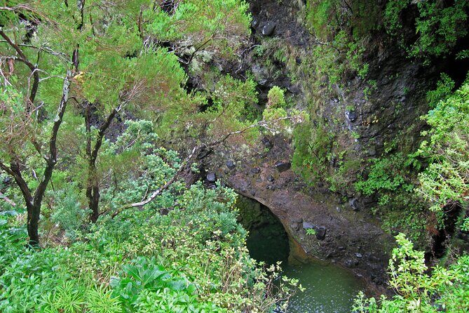 Madeira Levada Walk - Rabacal Lakes and Fountains - What the Walk Feels Like: Levadas, Stairs, and That Tunnel