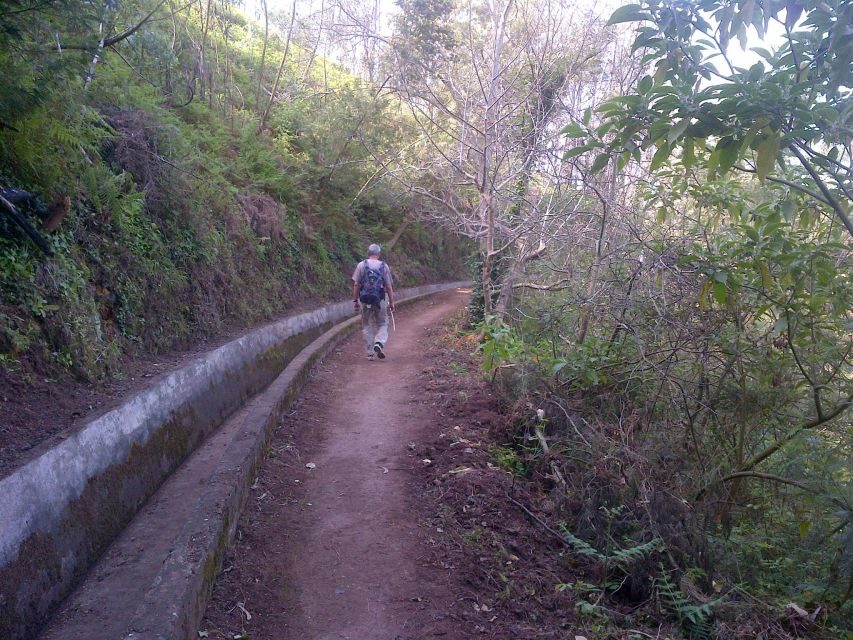 Madeira: Levado do Norte 2-Hour Hiking Tour - Why the Levado do Norte feels easy (and why that matters)