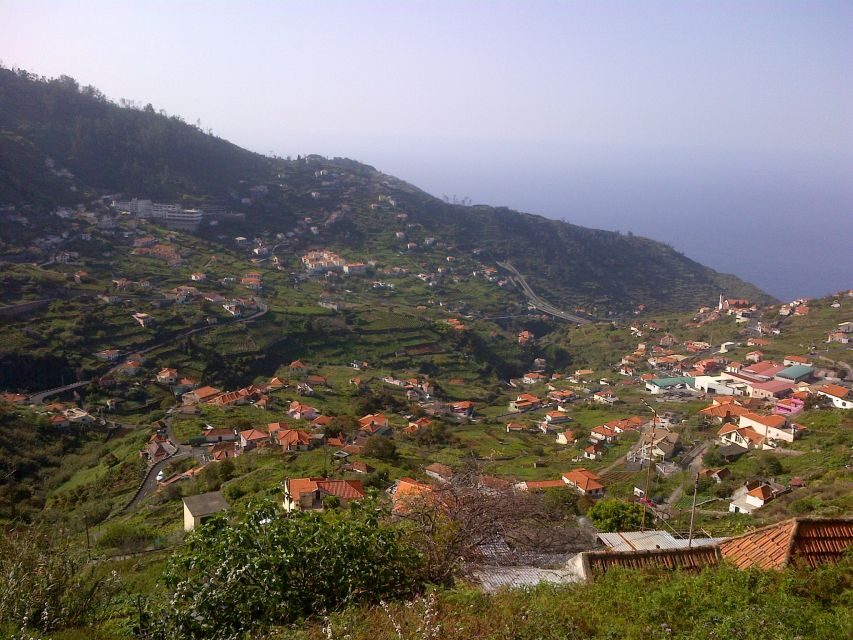 Madeira: Levado do Norte 2-Hour Hiking Tour - What you’ll see along the way: terraces, gardens, and eucalyptus