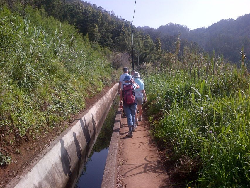 Madeira: Levado do Norte 2-Hour Hiking Tour - The guide and pace: what makes the tour feel smooth