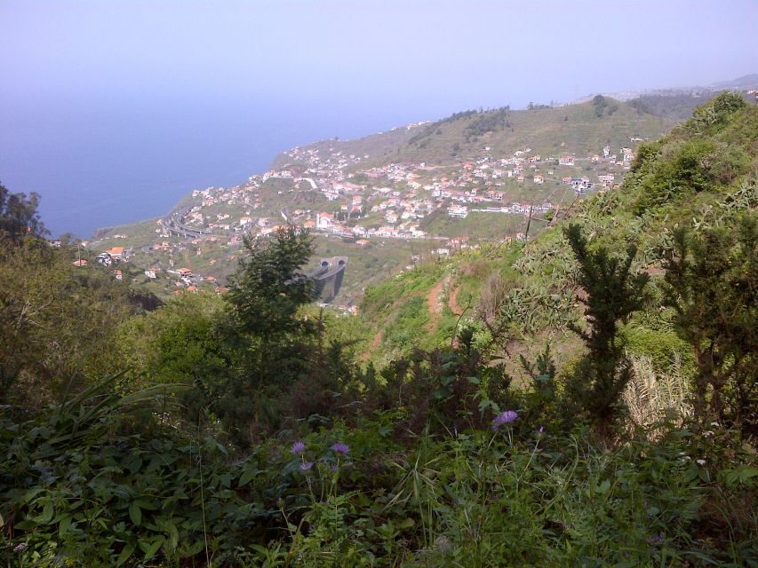 Madeira: Levado do Norte 2-Hour Hiking Tour - What to bring (and what not to): the little rules that keep things pleasant