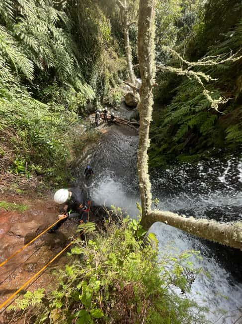 Madeira: Level-1 Canyoning Adventure - Swimming pools and spring water: where the canyon turns playful