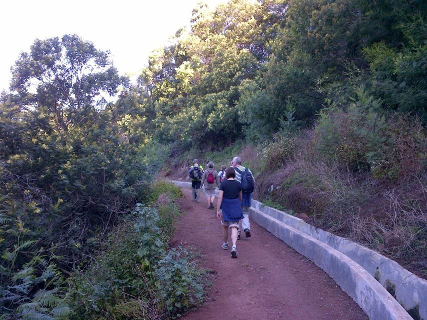 Madeira: Maroços Landscapes 2.5-Hour Guided Walk - Maroços and Machico: why this walk feels more local