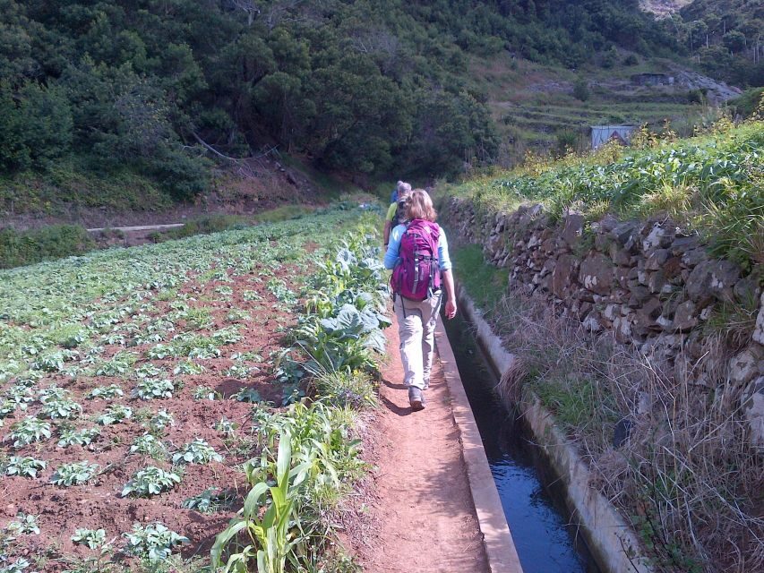 Madeira: Maroços Landscapes 2.5-Hour Guided Walk - Terraces above Machico: the view that keeps rewarding you