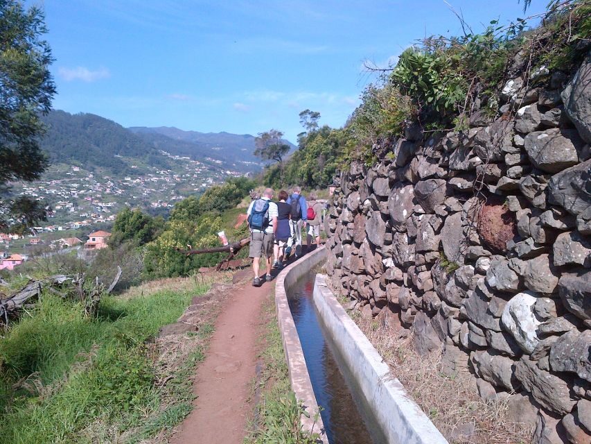 Madeira: Maroços Landscapes 2.5-Hour Guided Walk - Flowers and that seasonal fruit feeling