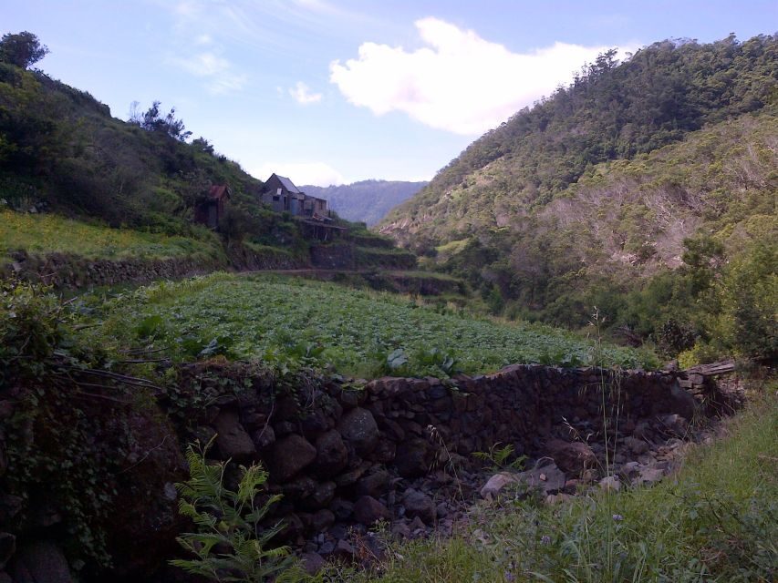 Madeira: Maroços Landscapes 2.5-Hour Guided Walk - Watching locals work: small scenes that make it feel real