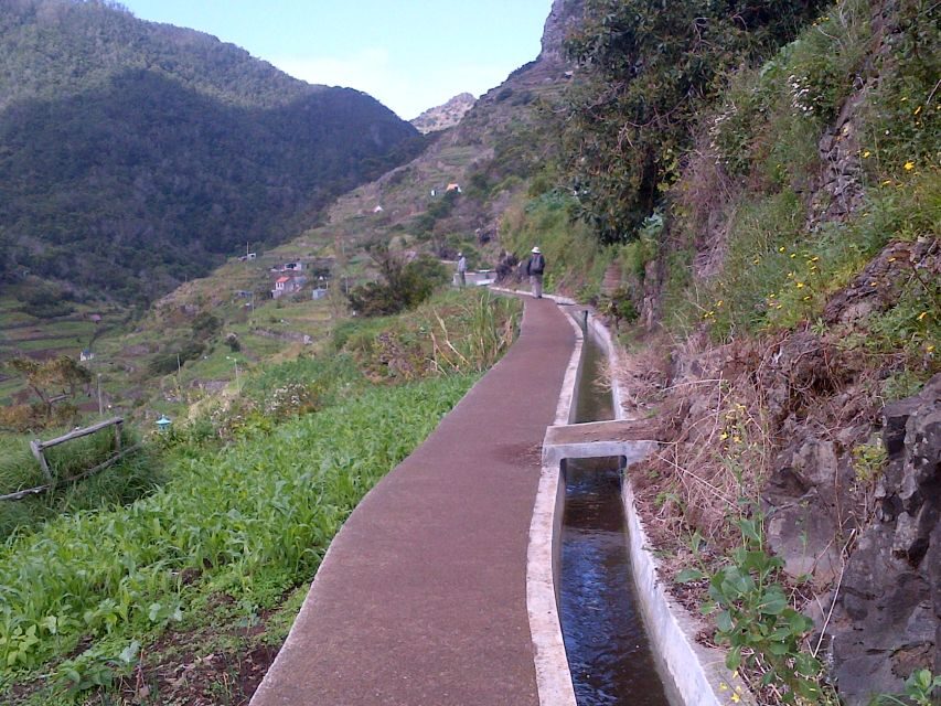 Madeira: Maroços Landscapes 2.5-Hour Guided Walk - Pickup, timing, and how to avoid day-of stress