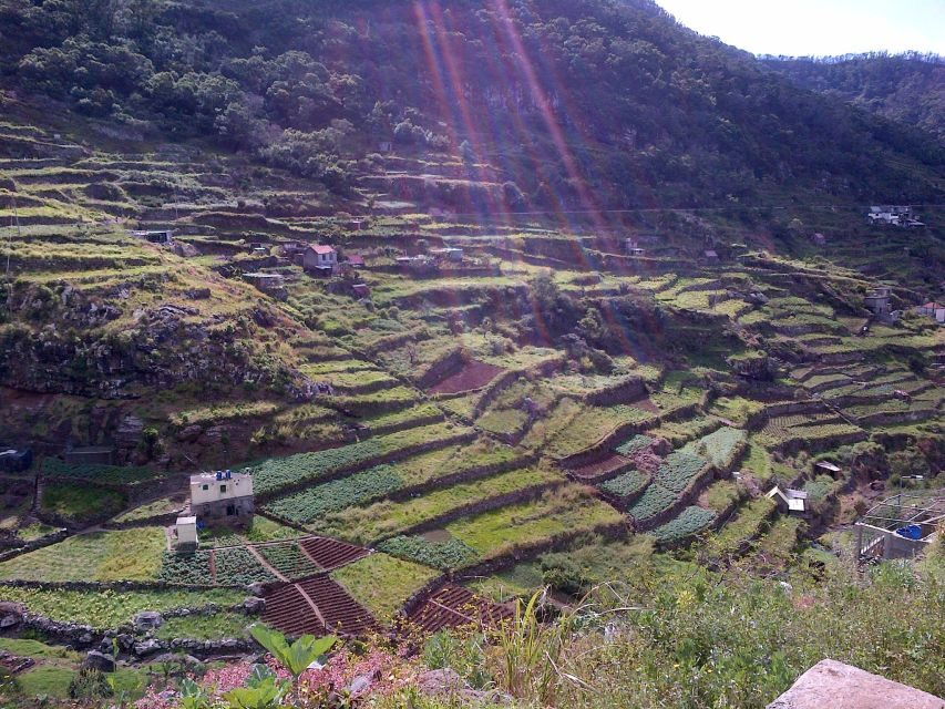 Madeira: Maroços Landscapes 2.5-Hour Guided Walk - Following the Levada dos Maroços: the trail’s steady character