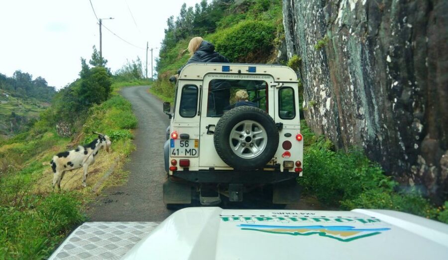 Madeira: Mini-Combo East Challenge: Jeep Safari + Levada - Pickup in Funchal (and the cruise ship meeting spot)