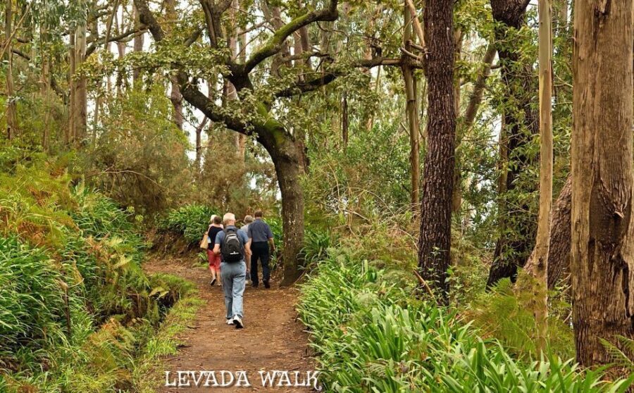 Madeira: Mini-Combo East Challenge: Jeep Safari + Levada - Morena: remote-feeling roads with the southeast in view