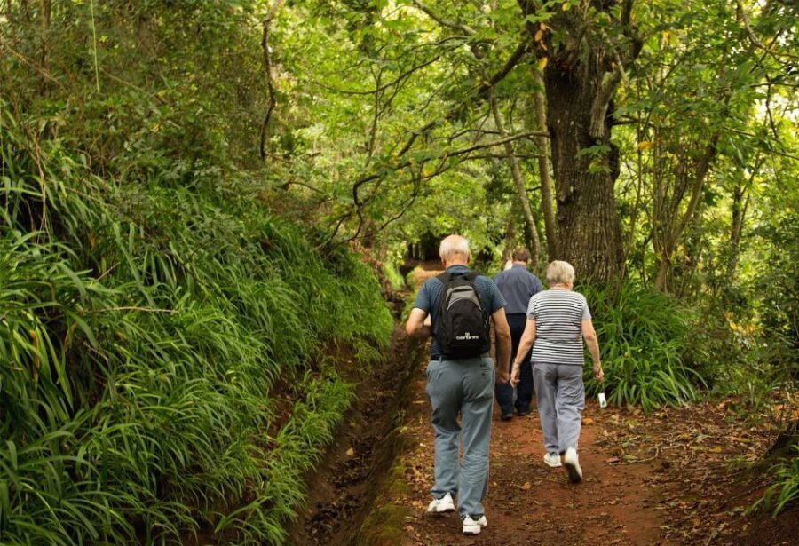Madeira: Mini-Combo East Challenge: Jeep Safari + Levada - The 30-minute levada walk: light hiking, real water-channel views