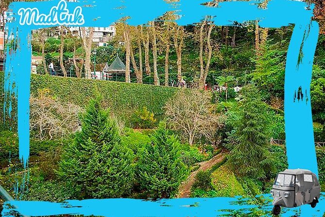 Madeira Monte Tobbogans and Old Town Tuk Tuk Tour by MadTuk - Price and Value: $48.19 Includes the Ride Around, Not the Sledges