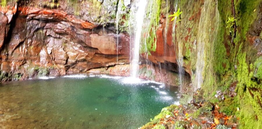 Madeira: Mountain Walk with Lagoon and Waterfalls - Key highlights to know before you go