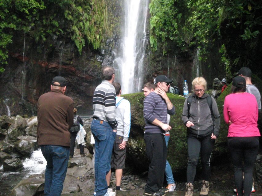 Madeira: Mountain Walk with Lagoon and Waterfalls - Why the Levada das 25 Fontes earns its reputation