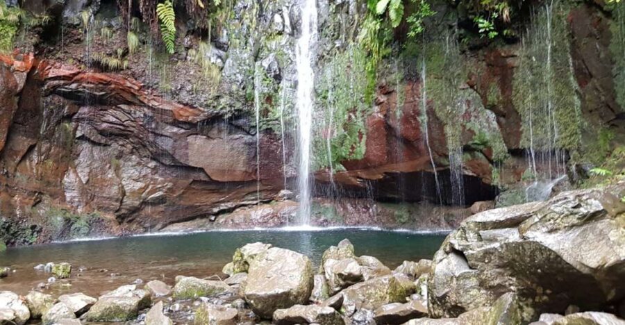 Madeira: Mountain Walk with Lagoon and Waterfalls - Paúl da Serra plateau: the calmer scenery before the roar