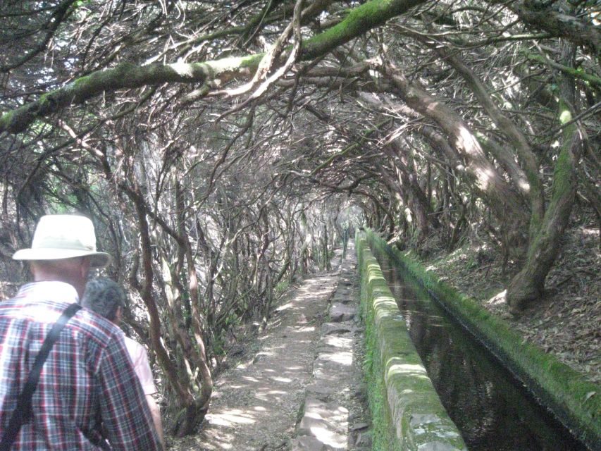 Madeira: Mountain Walk with Lagoon and Waterfalls - Following the levada: how the walk really works