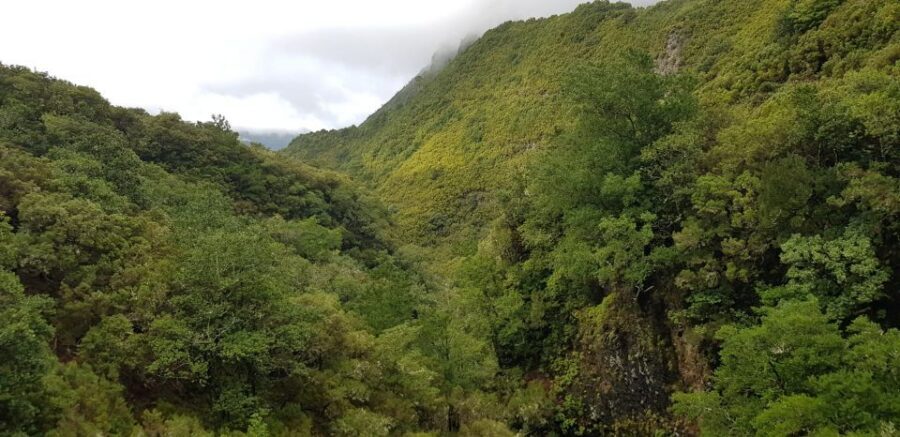 Madeira: Mountain Walk with Lagoon and Waterfalls - The lagoon of 25 waterfalls: crowd levels and the best mindset