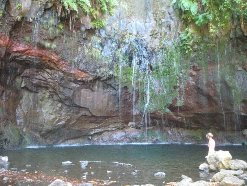 Madeira: Mountain Walk with Lagoon and Waterfalls - Price and value: is $55 worth it in Madeira terms?