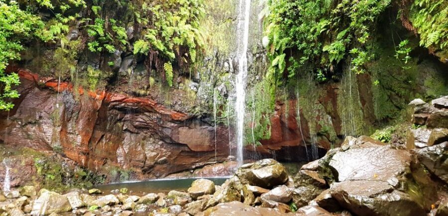 Madeira: Mountain Walk with Lagoon and Waterfalls - Who should book this Madeira hike, and who should skip it