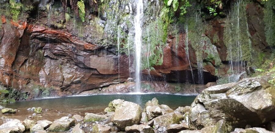 Madeira: Mountain Walk with Lagoon and Waterfalls - Pickup, the mountain drive, and how to use the time