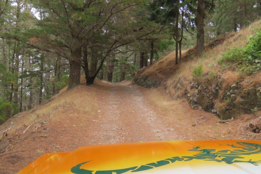 Madeira : Nun's Valleys and Pico Areeiro 4X4 Tour - What You Get for the Price (and Why $49 Can Make Sense)