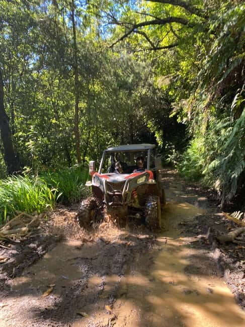 Madeira: Off-Road Buggy Driving Experience - Key highlights worth planning around