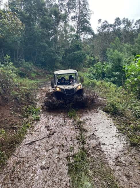 Madeira: Off-Road Buggy Driving Experience - Meet Rui, Learn the Territory: The Human Side of the Ride