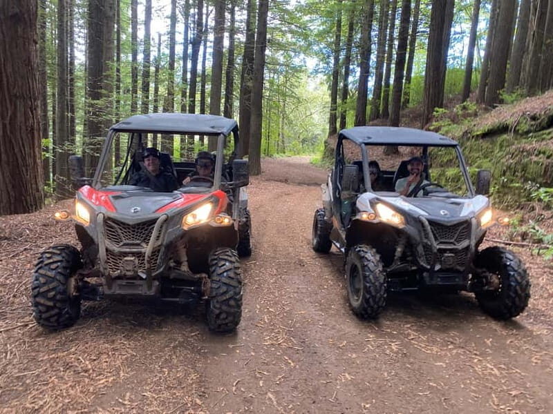 Madeira: Off-Road Buggy Driving Experience - Driving a Double Buggy: Safety, Goggles, and How Rui Teaches You Fast