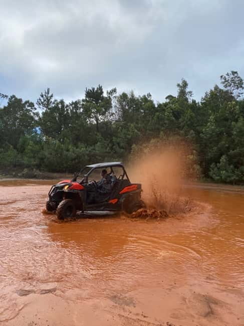 Madeira: Off-Road Buggy Driving Experience - UNESCO Laurisilva Stops: Why the Forest Is the Star, Not a Backdrop
