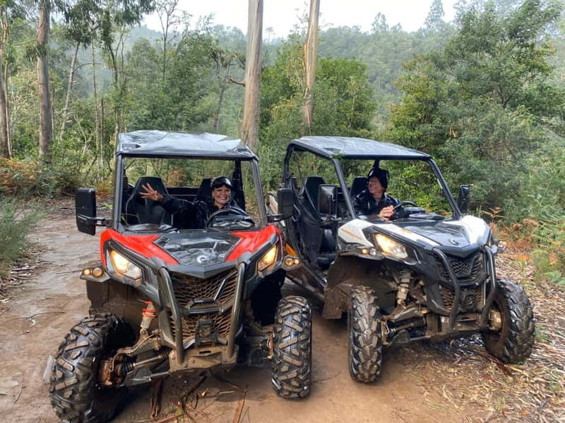 Madeira: Off-Road Buggy Driving Experience - Photo Stops and Northern Madeira Views: When the Scenery Turns High and Wide
