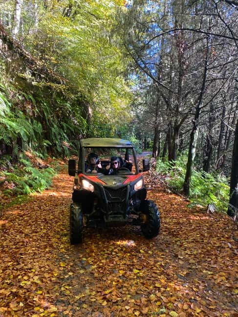 Madeira: Off-Road Buggy Driving Experience - What You’ll Get During the 2 Hours: A Realistic Rundown of the Flow