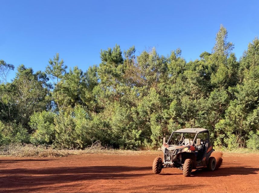 Madeira: Off-Road Buggy Driving Experience - Price and Value: Does $171 Per Group (Up to 2) Make Sense?