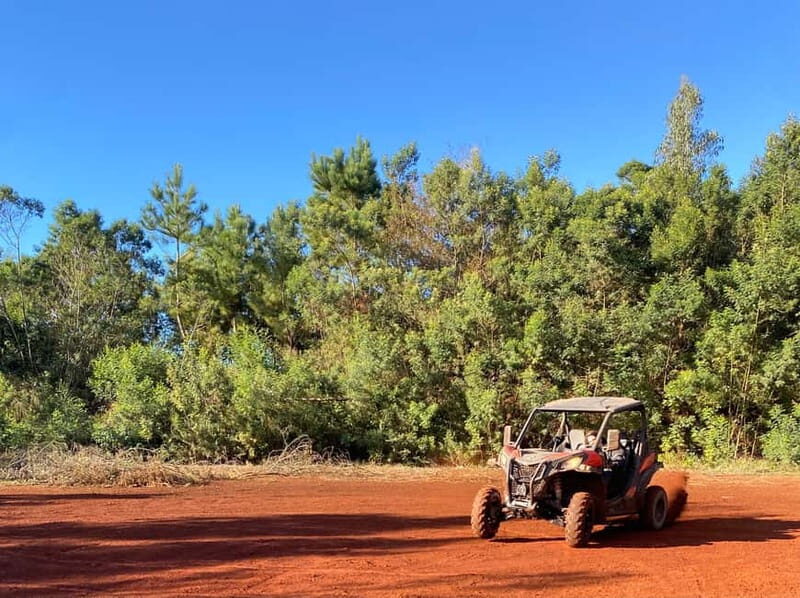 Madeira: Off-Road Buggy Driving Experience - Who This Tour Best Fits (and Who Might Prefer Something Else)