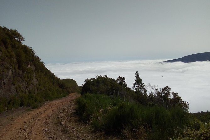Madeira Off-Road Tours - Price and Value: $62.75 Includes Transportation, Not Everything Else