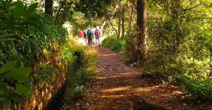 Madeira: Paradise Valley Levada Walk - Key things I’d bet on