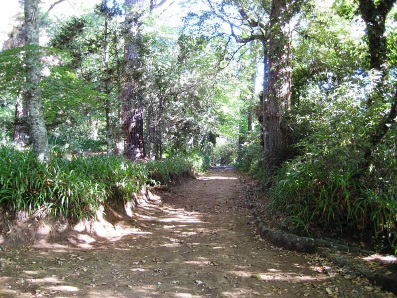 Madeira: Paradise Valley Levada Walk - What to bring so nothing ruins the day