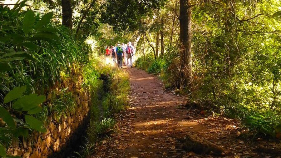 Madeira: Paradise Valley Levada Walk - Paradise Valley’s levada walk: why this one works
