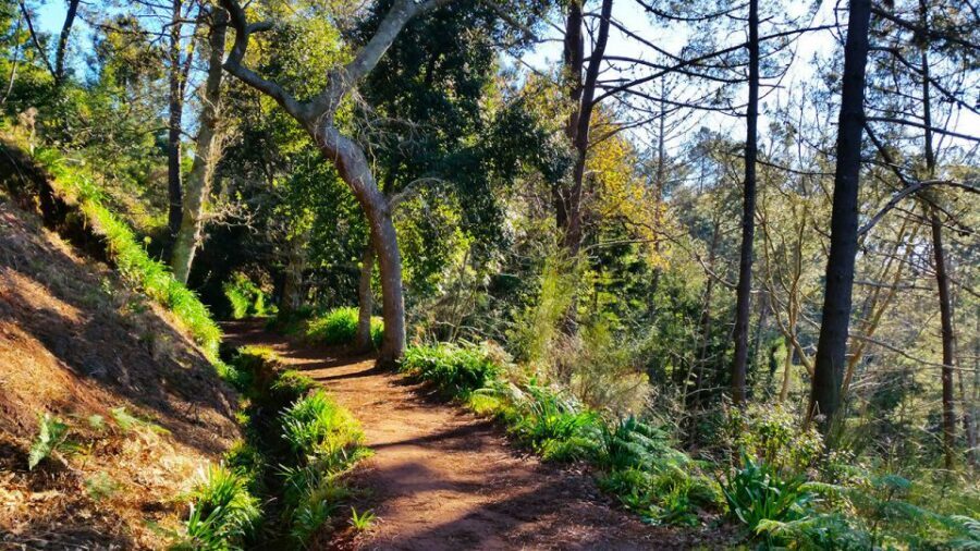 Madeira: Paradise Valley Levada Walk - Price and value: is $38 for 4 hours a good deal?