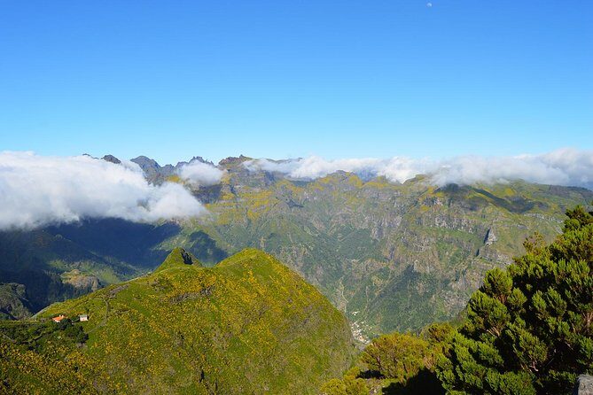 Madeira Peaks - Mountain Walk - Getting from Funchal to the trail: pickup, timing, and how mornings work