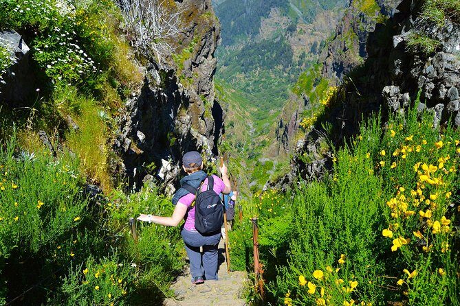 Madeira Peaks - Mountain Walk - Vereda do Pico Ruivo: the classic ridge feel and the heather forest story