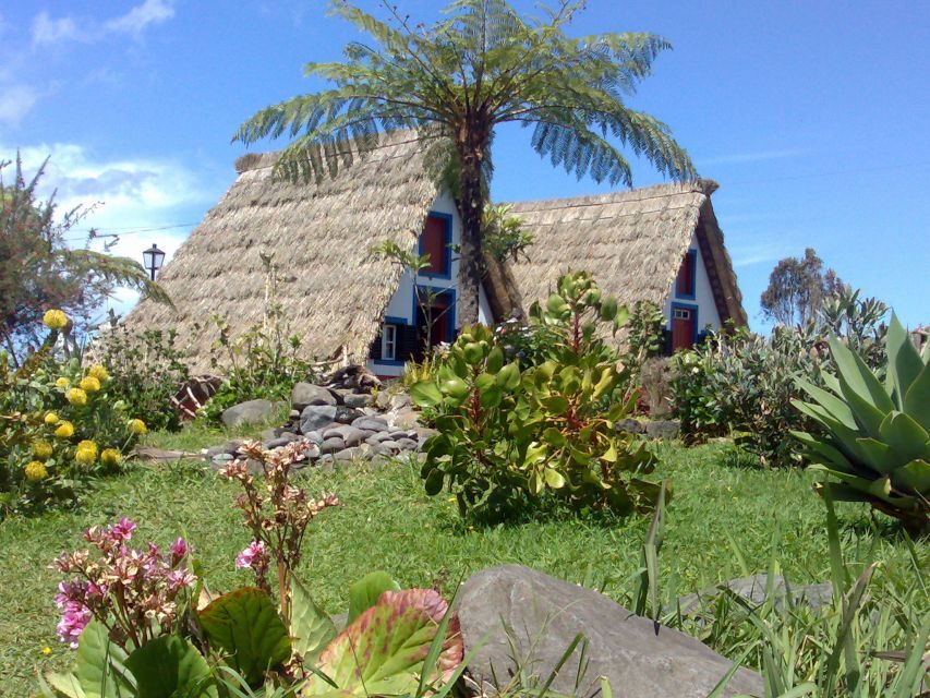 Madeira: Pico do Arieiro & Laurissilva Forest - East tour - Start in Funchal, then point the van east