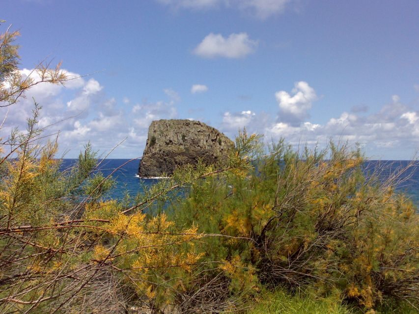 Madeira: Pico do Arieiro & Laurissilva Forest - East tour - Pico do Arieiro: where the cliffs start to feel close