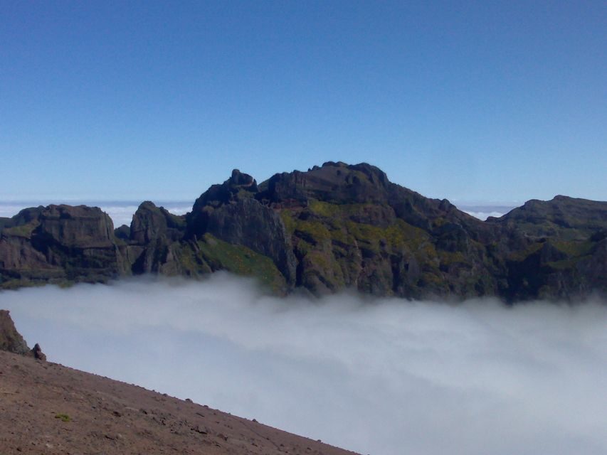 Madeira: Pico do Arieiro & Laurissilva Forest - East tour - Laurisilva Forest: 20 million years of green you can walk through