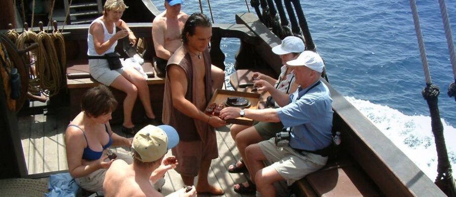 Madeira Pirate Ship: 3-Hour Boat Trip - Wildlife spotting: how to actually see dolphins and whales